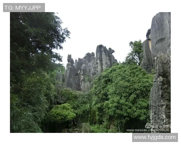 上海羽毛球队逆袭之旅:从低谷到巅峰的杯赛传奇故事 上海羽毛球队逆袭之旅:从低谷到巅峰的杯赛传奇故事