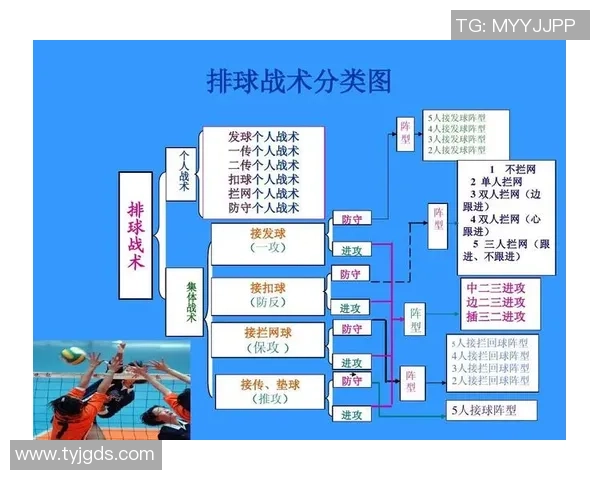 成都排球队与杭州排球队赛后分析强弱对比与战术探讨