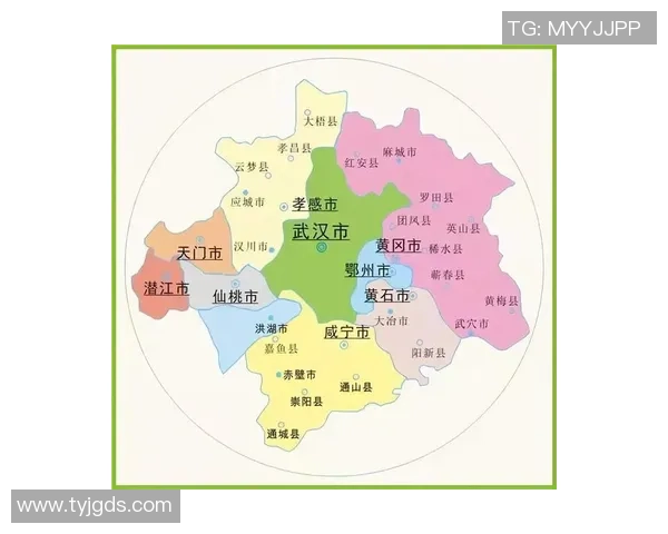 武汉网球队与杭州网球队实力对比赛后分析与总结