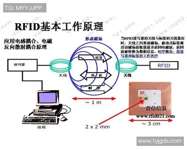 智能识别足球明星的创新软件助你轻松辨别球场传奇