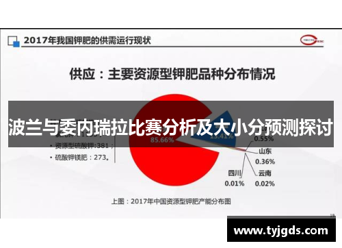 波兰与委内瑞拉比赛分析及大小分预测探讨
