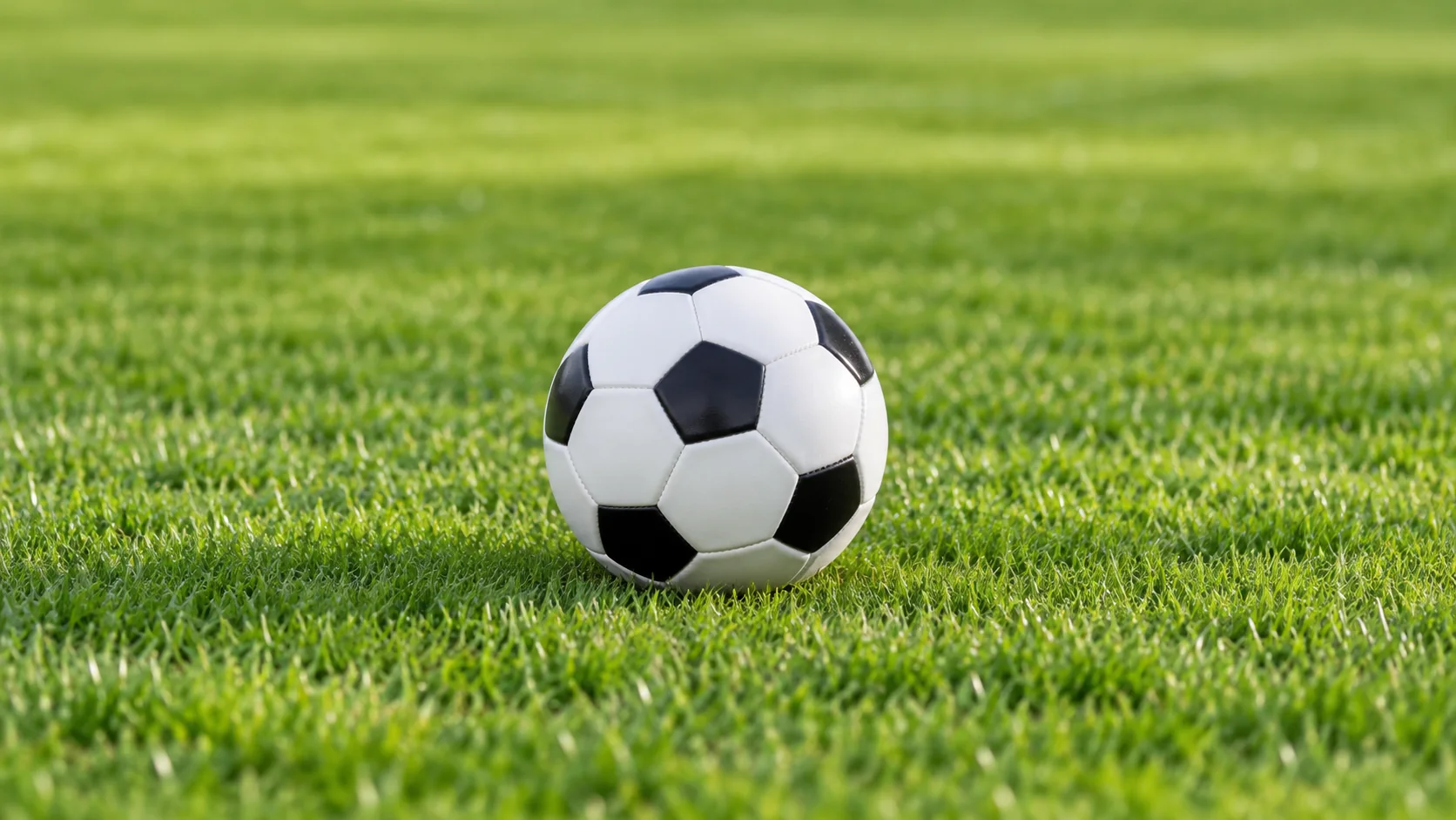 李根：从篮球场上的拼搏到人生道路的坚持与奋斗